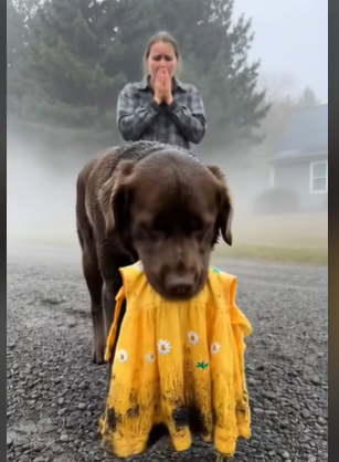 Гора пам’ятає кожне ім’я