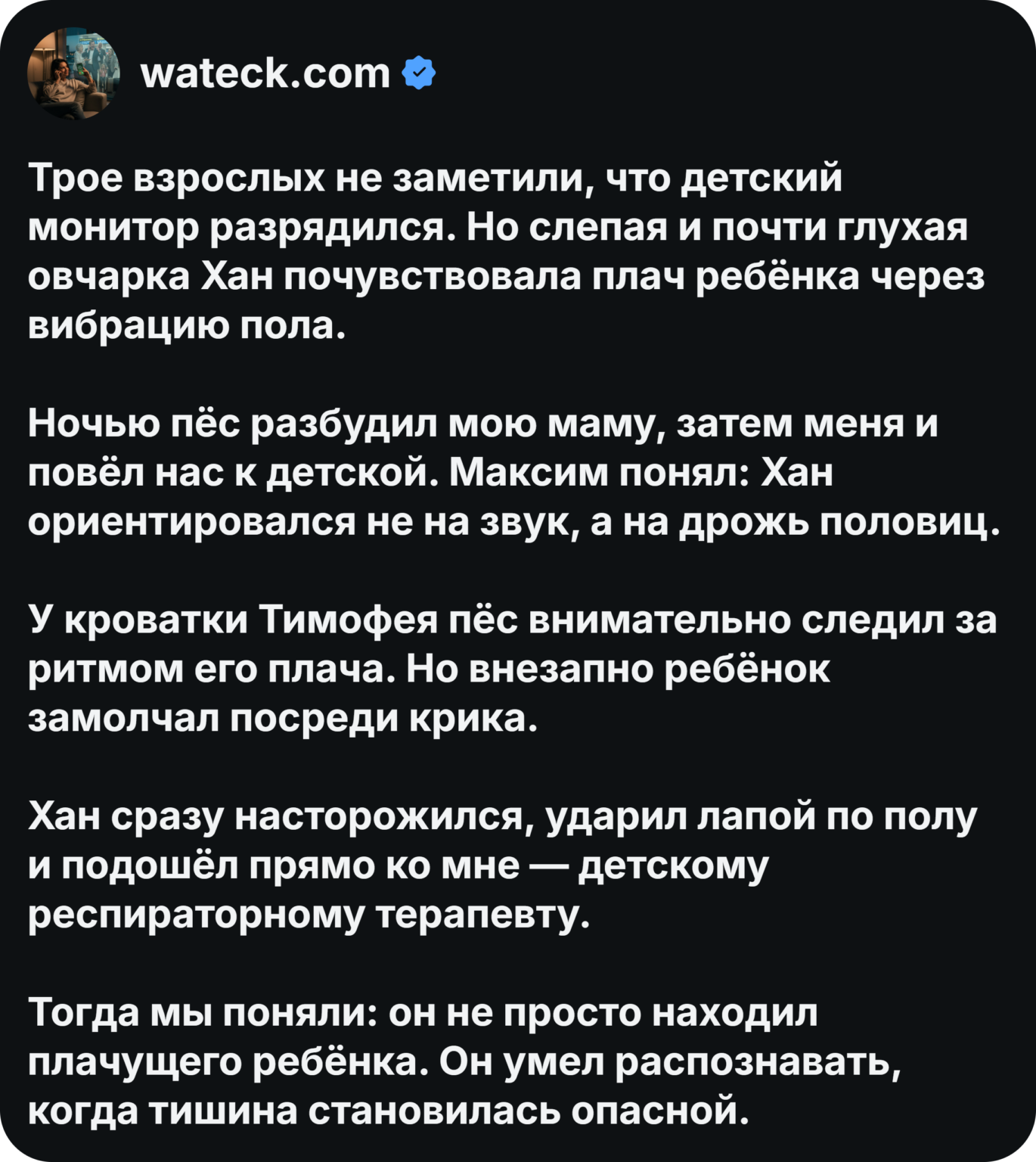 Слепая овчарка трижды ударила лапой по полу и спасла ребёнка